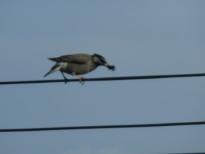 CIMG0076