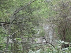 CIMG0190