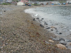 CIMG0381
