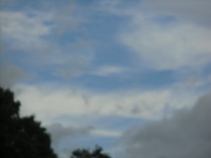 CIMG4632