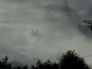CIMG4633