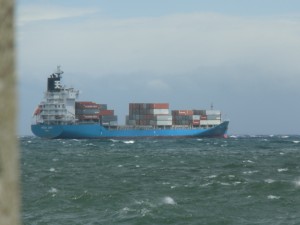 CIMG4653