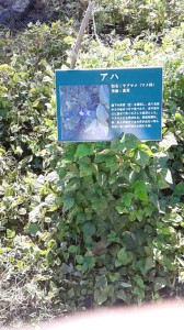 DVC00019.JPG