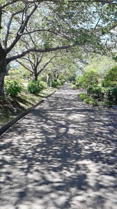 DVC00047.JPG
