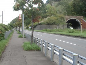 CIMG5917