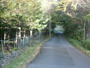 CIMG6615