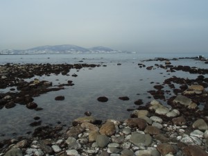 CIMG8755