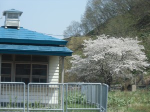 CIMG0195