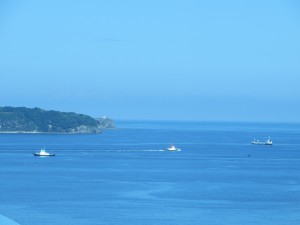 IMG_1647