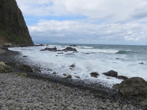 IMG_2312