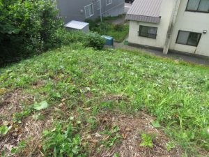 IMG_0100